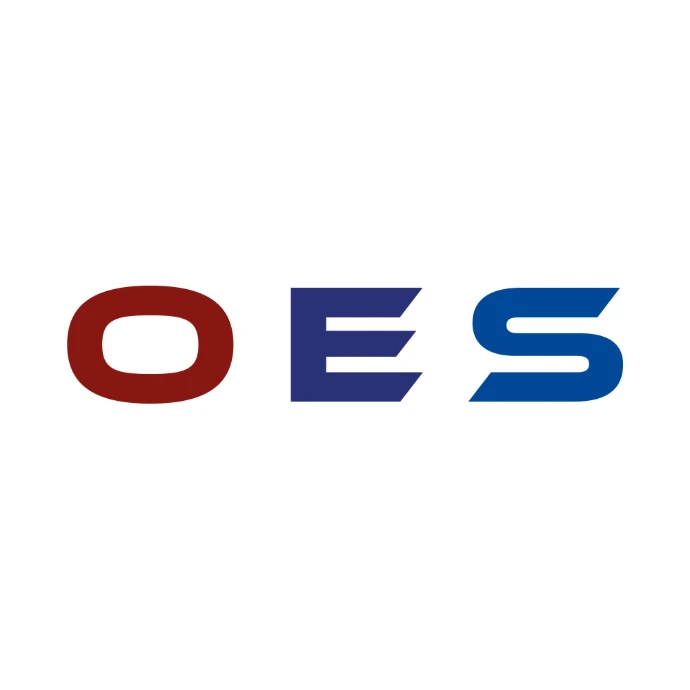 Professionelles Branding &amp; Grafikdesign für OES GmbH Sanierungstechnik Villach.